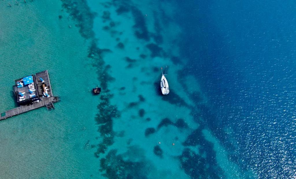 Luxus-Apartments Direkt Am Attersee Seewalchen Eksteriør billede